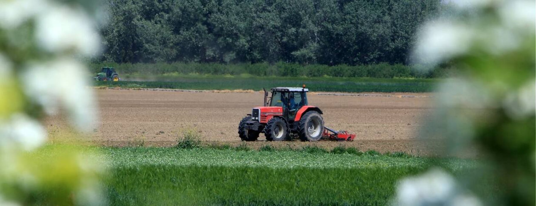 Αγροτικό Σύμφωνο