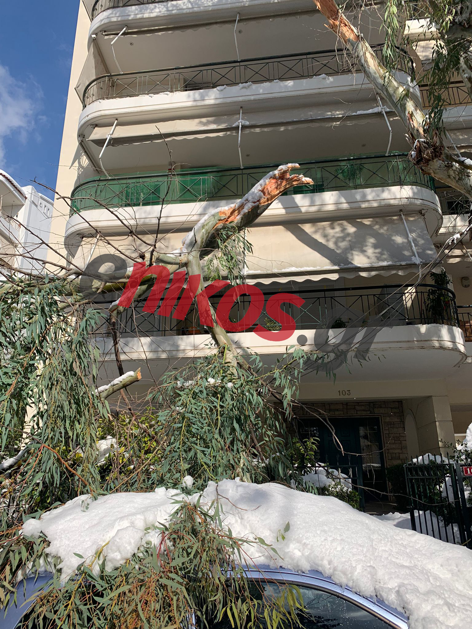 πτώση δέντρων κακοκαιρία