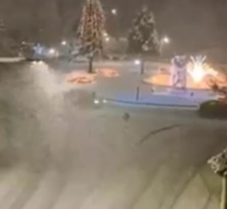 Διομήδης-Φλώρινα