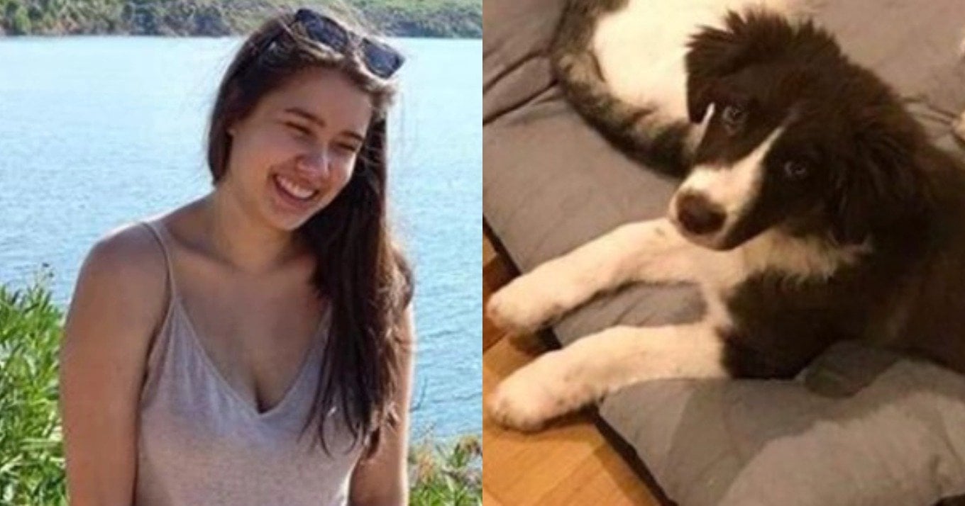 Μπάμπης Αναγνωστόπουλος: Μήνυση εναντίον του για τη δολοφονία του σκύλου της Καρολάιν