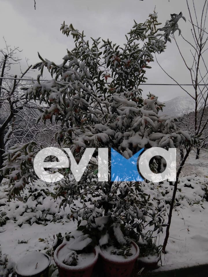 Κακοκαιρία Ελπίς- Εύβοια