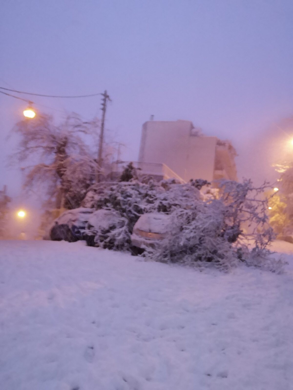 Κακοκαιρία “Ελπίς”: Πεσμένα δέντρα έχουν σκεπάσει αυτοκίνητα στο Λυκαβηττό – ΦΩΤΟ αναγνώστη