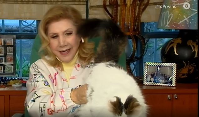 Λίτσα Πατέρα: Απρόοπτο στον αέρα με τον γάτο της – Άρχισε να του πετάει πράγματα