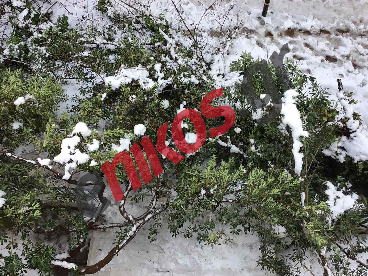 κακοκαιρία