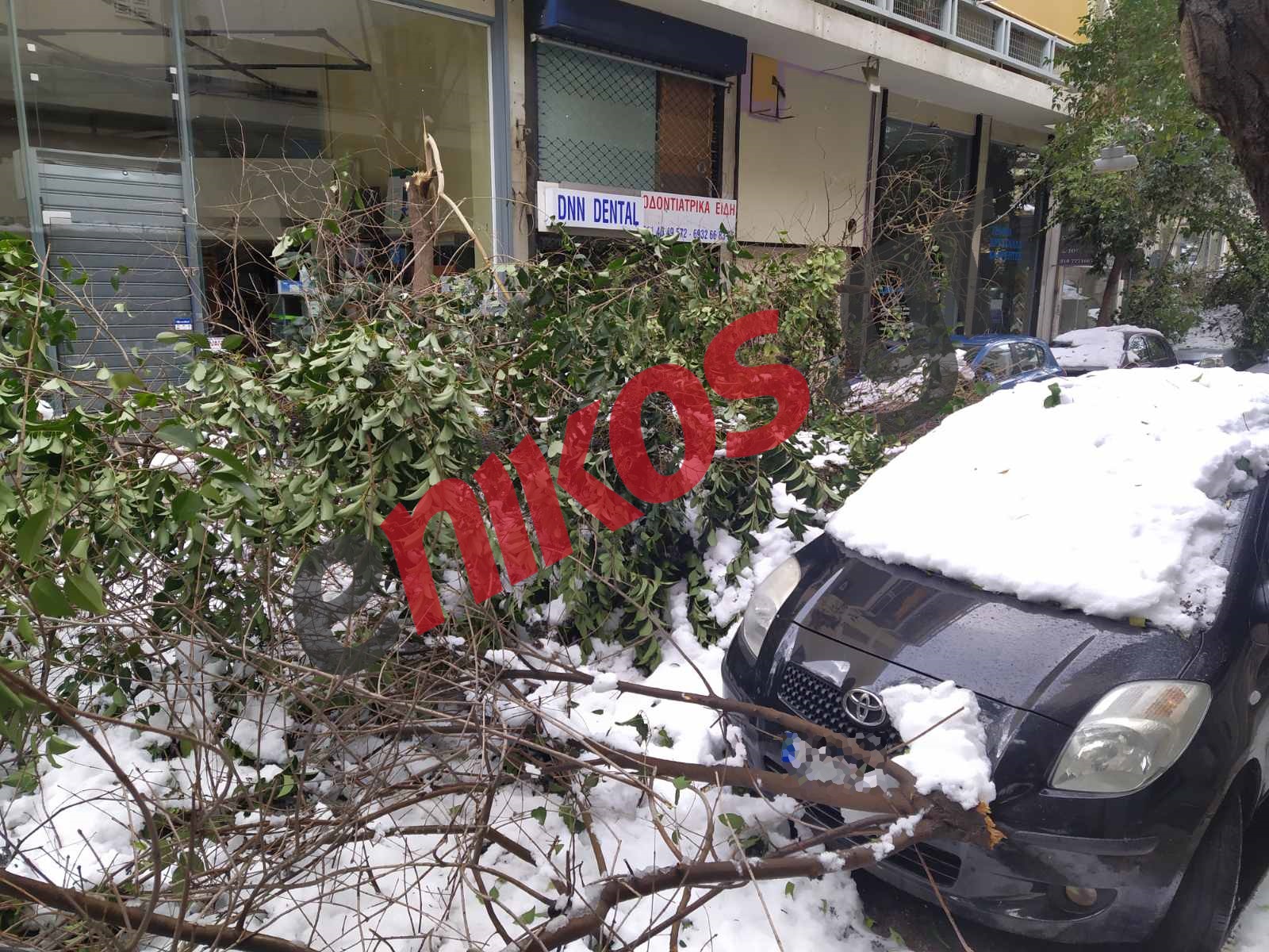 Κακοκαιρία “Ελπίς”: Αγανακτισμένοι οι πολίτες – Πεσμένα δένδρα και καλώδια σε πολλές περιοχές της Αθήνας