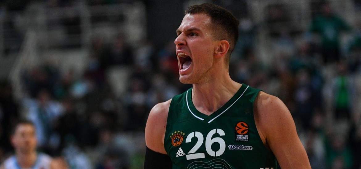 Νέντοβιτς-Τζόκοβιτς