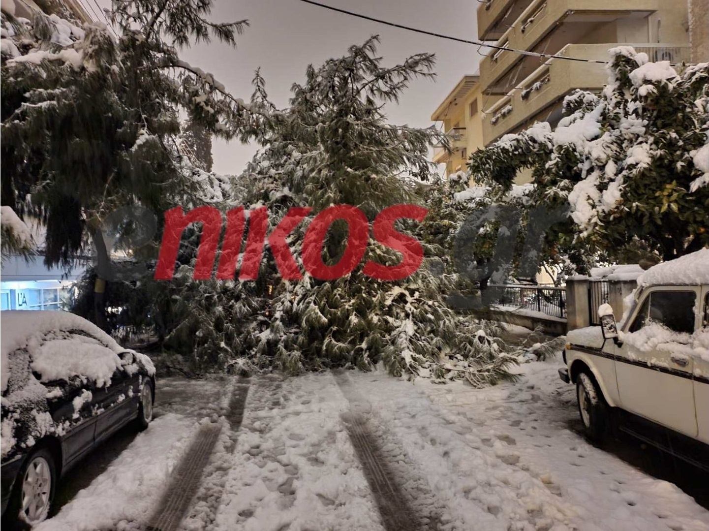 Κακοκαιρία “Ελπίς”: Έπεσαν δέντρα στο Παλαιό Φάληρο – ΦΩΤΟ αναγνώστη