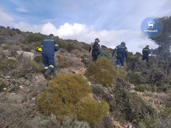 Ρόδος σκελετός