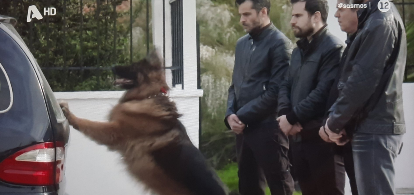 Σασμός: Η σκηνή με τον σκύλο του Πετρή που “λύγισε” το Twitter