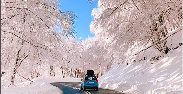 Δρόμος βγαλμένος από… παραμύθι – Έχει γίνει το απόλυτο viral