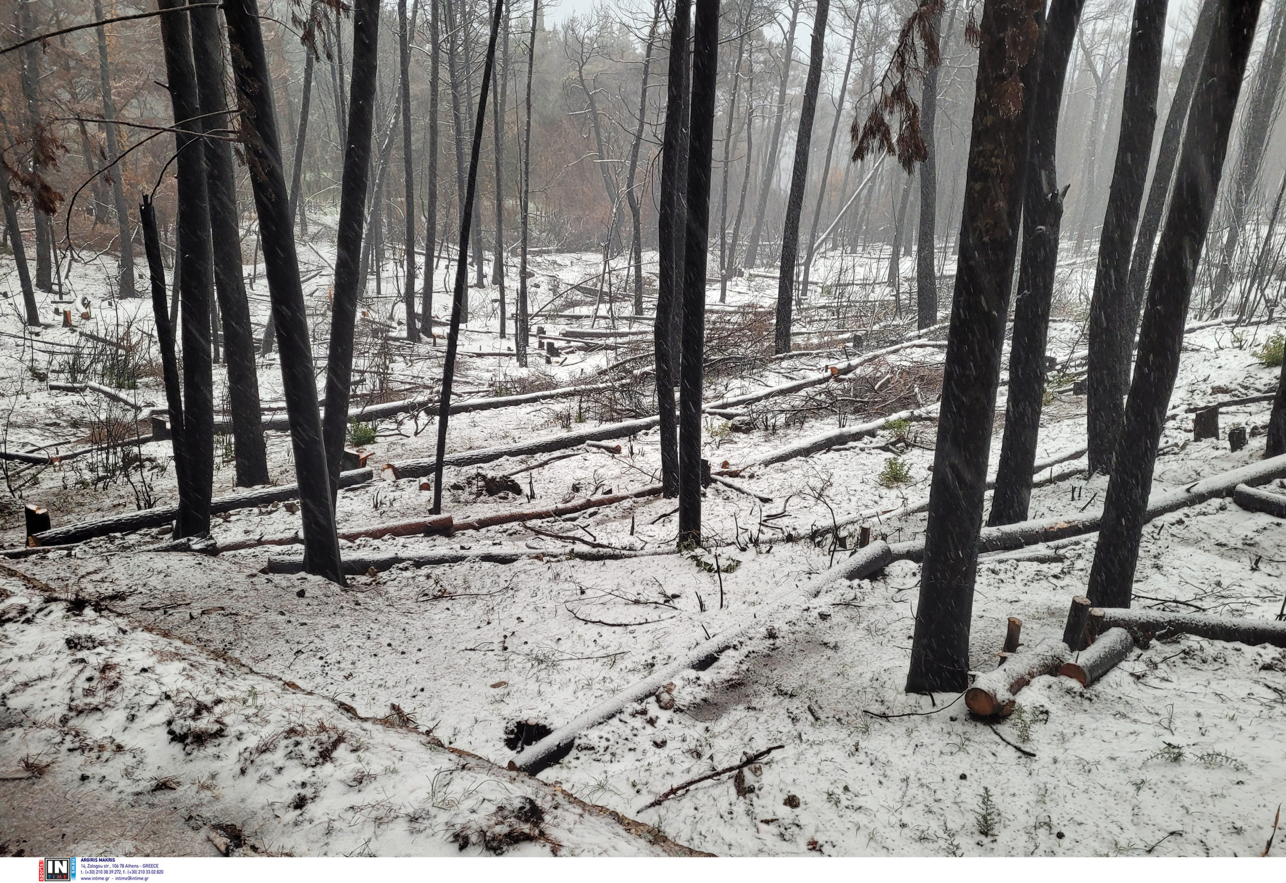Χιόνια Ιπποκράτειος Πολιτεία