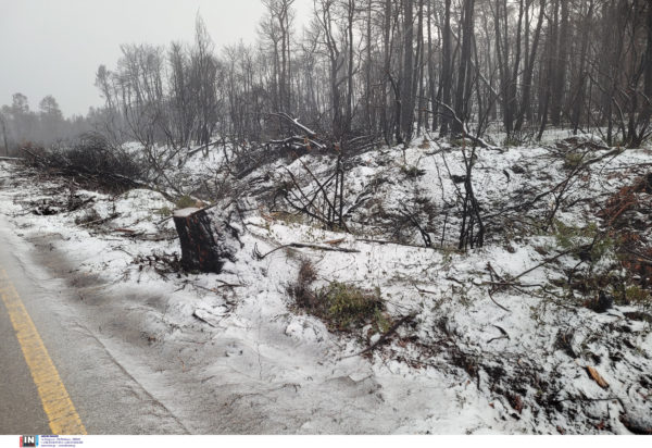 Χιόνια Ιπποκράτειος Πολιτεία