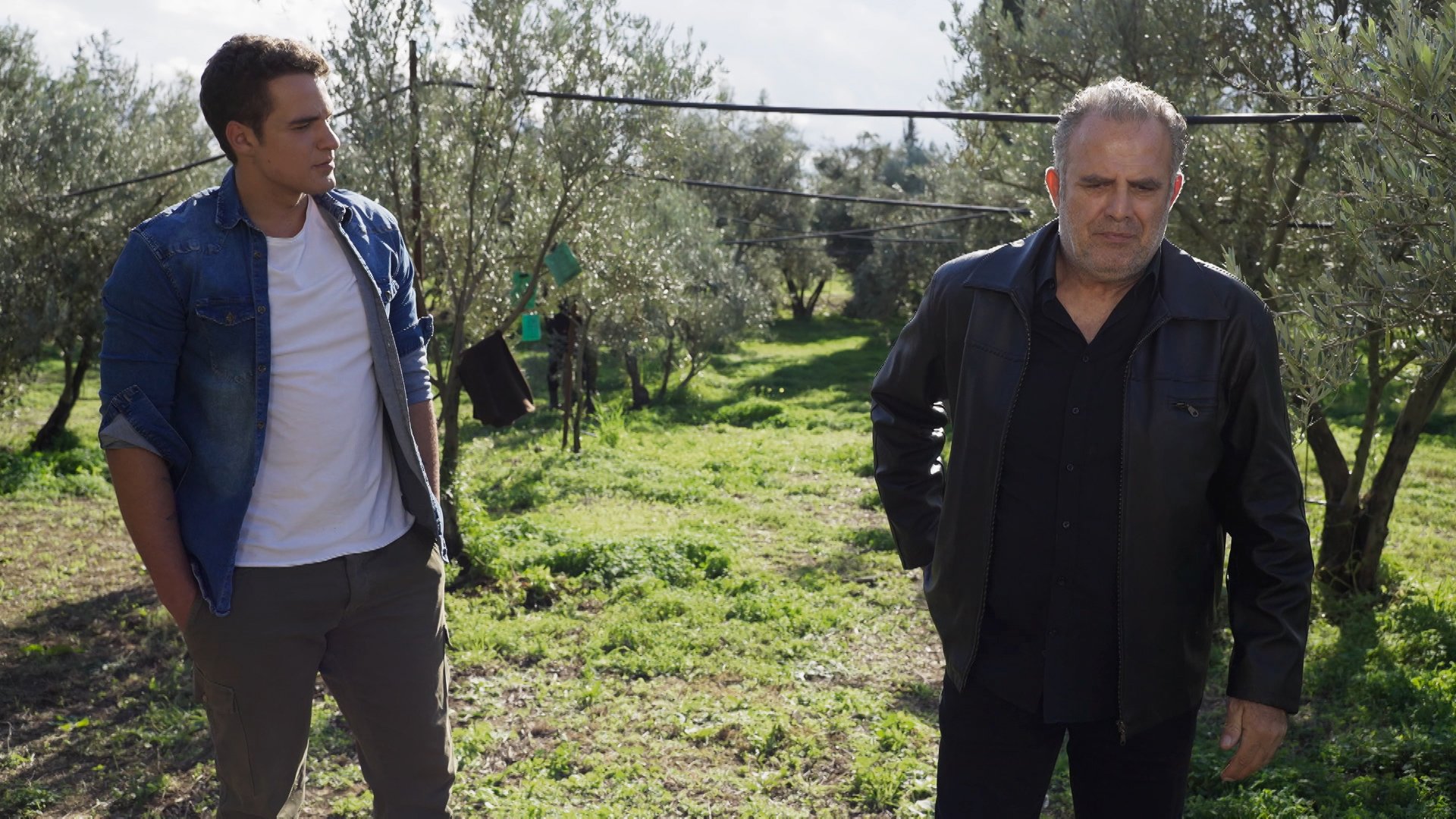 Η Γη της Ελιάς: