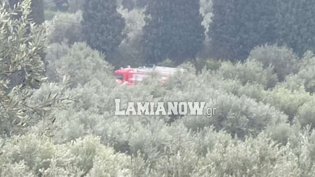 Στυλίδα εξαφάνιση