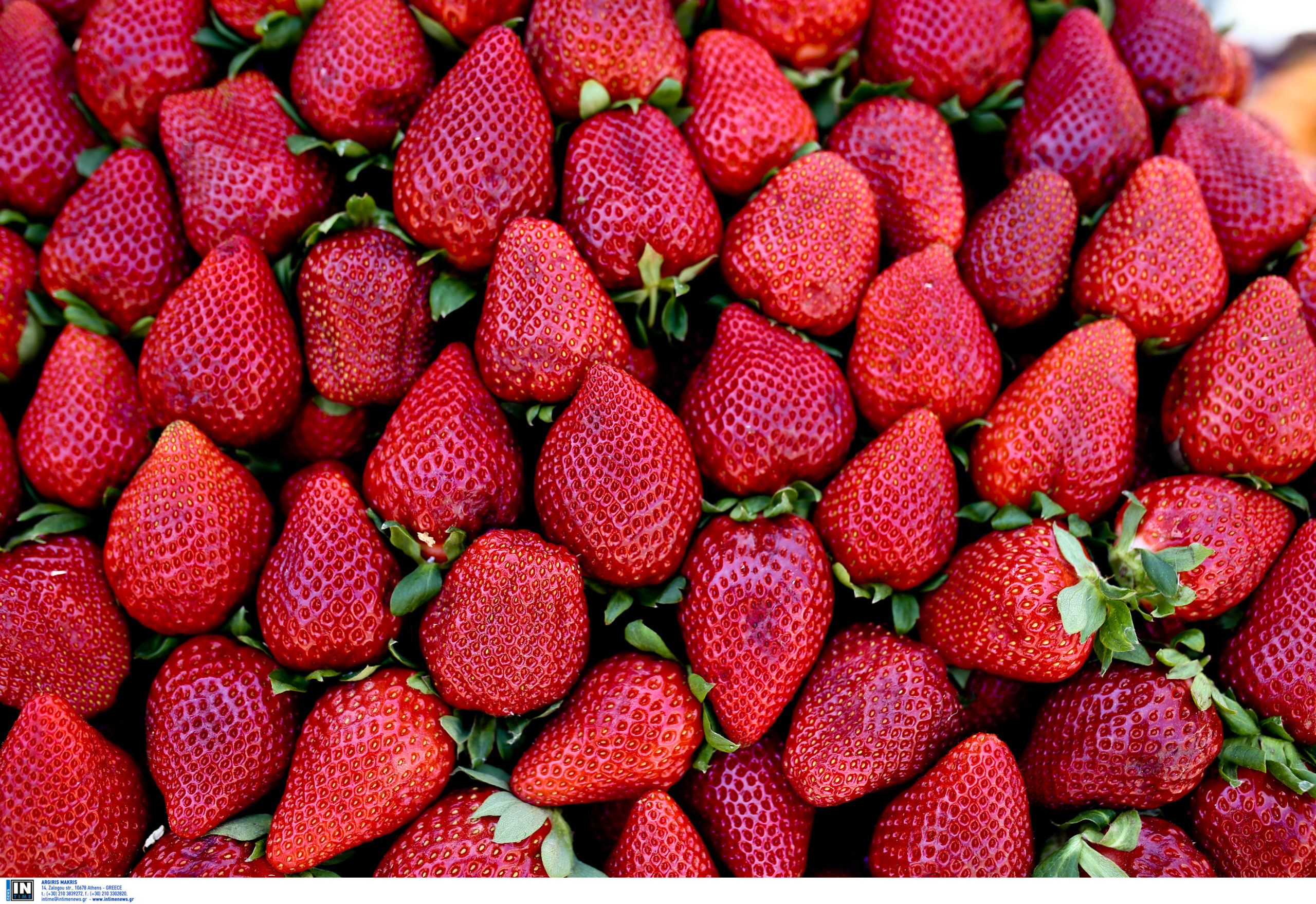 Εποχική εργασία - φράουλες