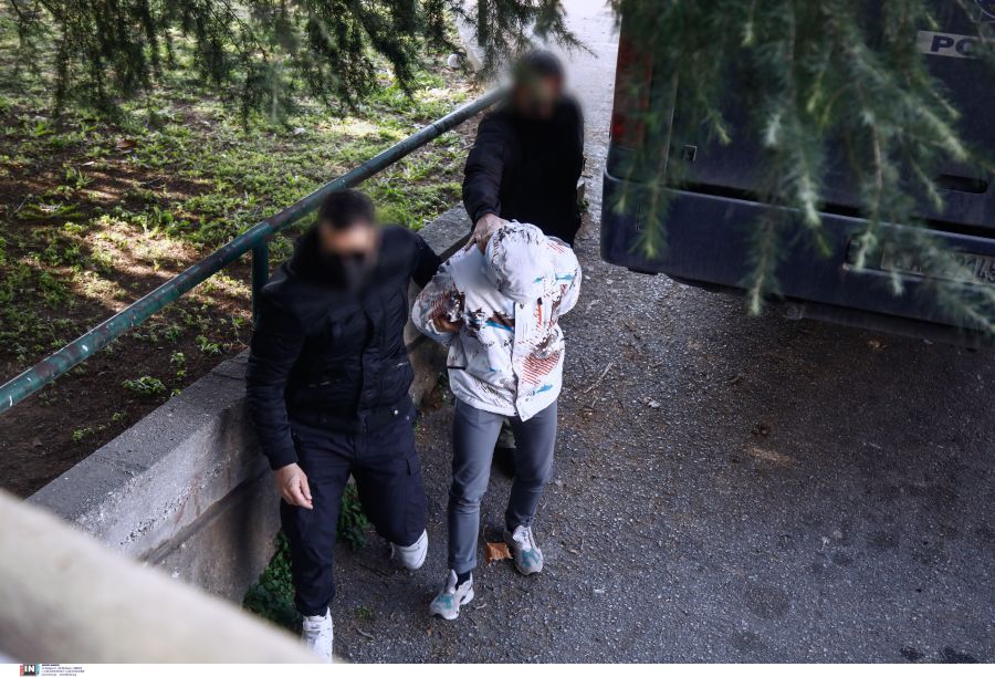 Δολοφονία Άλκη-Απολογία