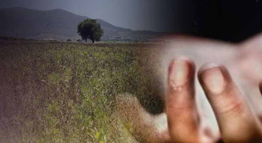 Ηράκλειο-χωράφι- νεκρός