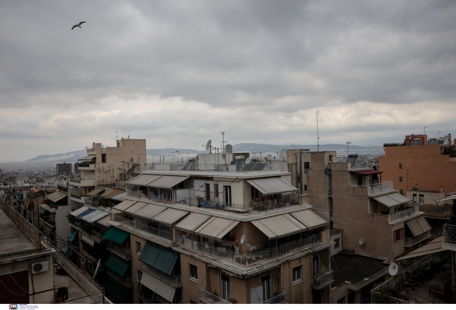 Κυψέλη- δολοφονία