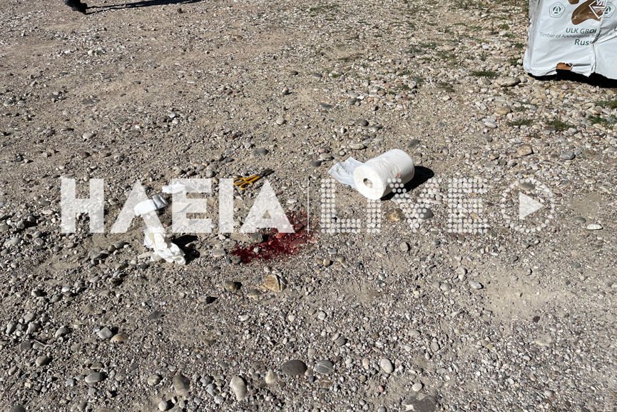 Πύργος - δολοφονία