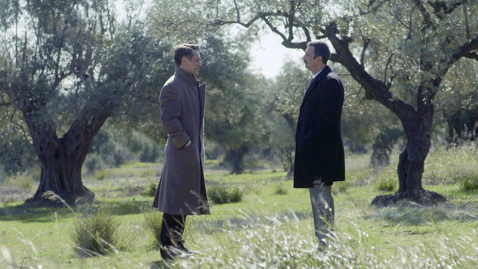 Άγριες Μέλισσες: «Σκάει» μια δυσάρεστη έκπληξη στο Διάφανι