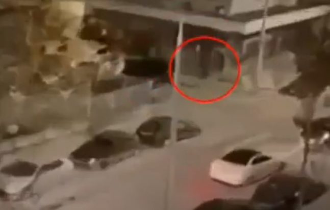 Θεσσαλονίκη- δολοφονία- Άλκης