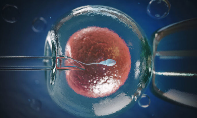 εξωσωματική γονιμοποίηση