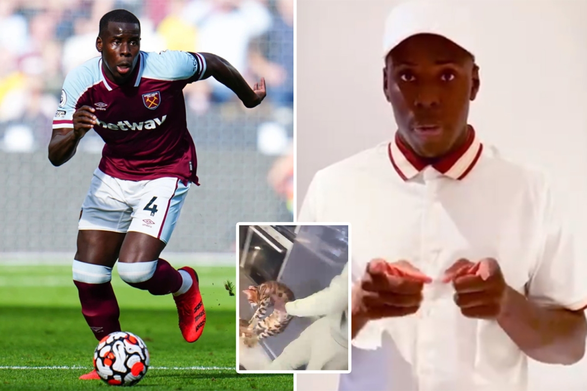Σάλος με ποδοσφαιριστή της Premier League: Κλωτσάει και χτυπάει γάτα σε βίντεο στο SnapChat