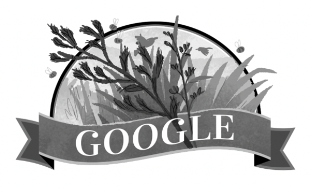 Google Doodle Waitangi Day