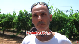 Καλάβρυτα αναρριχητές