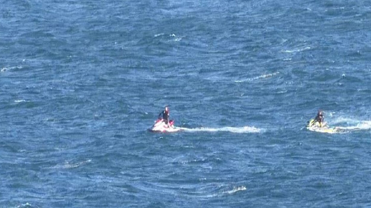 Λευκός καρχαρίας κατασπάραξε κολυμβητή – “Υπήρχε αίμα παντού”