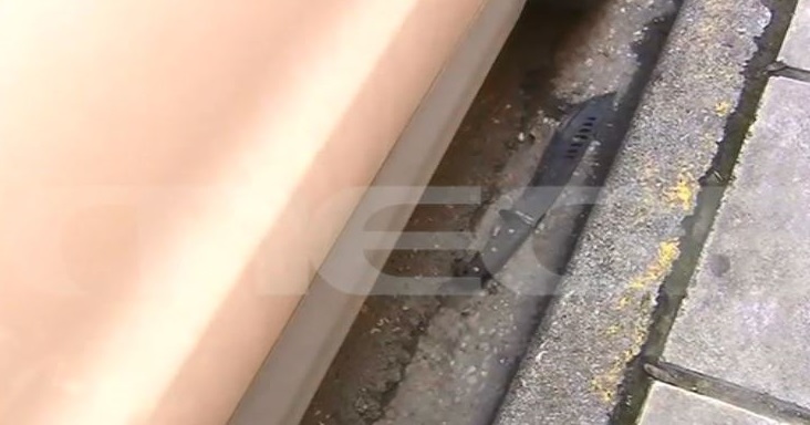 Θεσσαλονίκη δολοφονία Άλκη Μαχαίρι