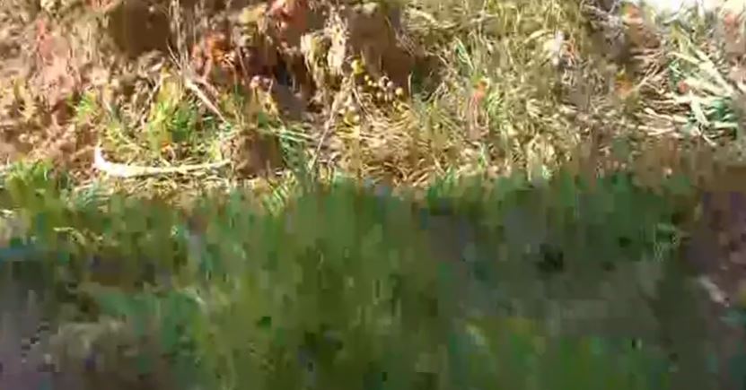 Νεκροταφείο νεκρός βρέφος