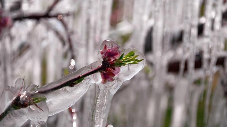 Πού σημειώθηκε παγετός το πρωί του Σαββάτου – Το θερμόμετρο έδειξε -6 βαθμούς