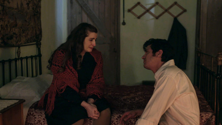 Άγριες Μέλισσες