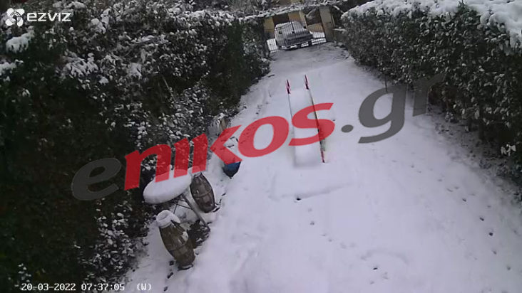 Διόνυσος- χιόνια