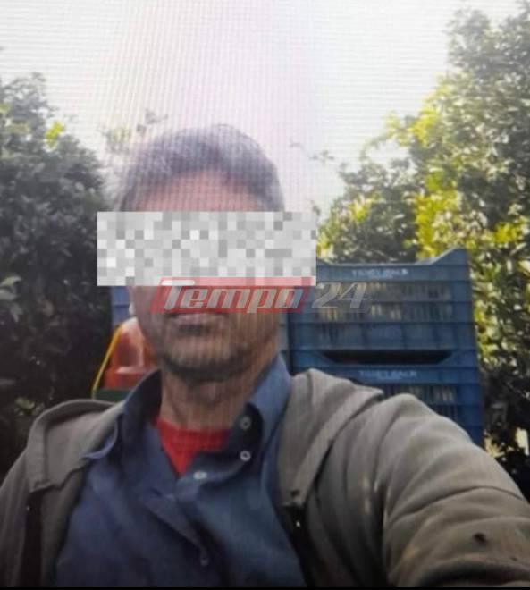Ανδραβίδα: Συνελήφθη στην Πάτρα ο βασικός ύποπτος της τετραπλής δολοφονίας – ΒΙΝΤΕΟ