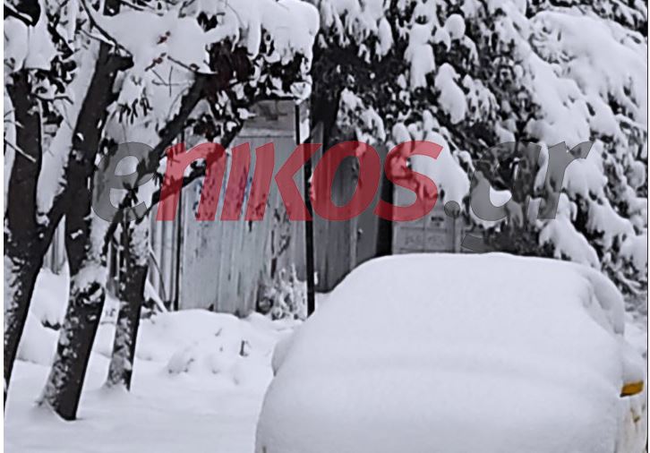Κακοκαιρία “Φίλιππος”: Ο Διόνυσος θάφτηκε στο χιόνι – Εντυπωσιακές εικόνες