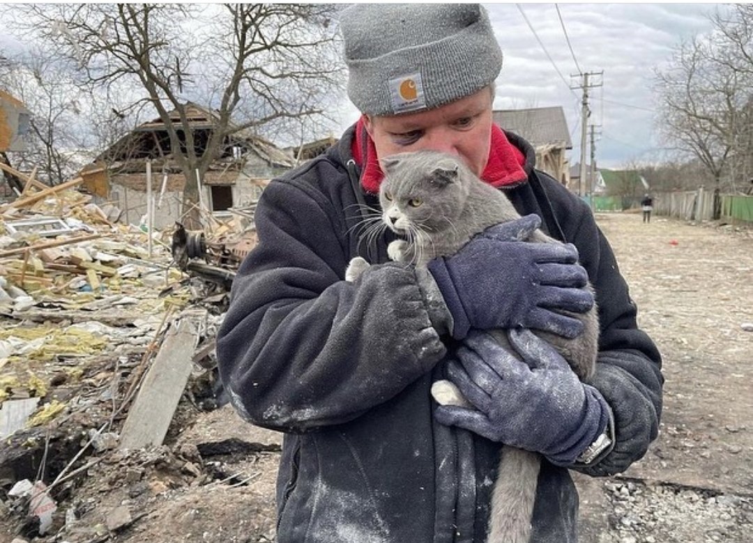 Πόλεμος στην Ουκρανία: Συγκλονίζει η φωτογραφία διασωθέντα από τα συντρίμμια με τη γάτα του