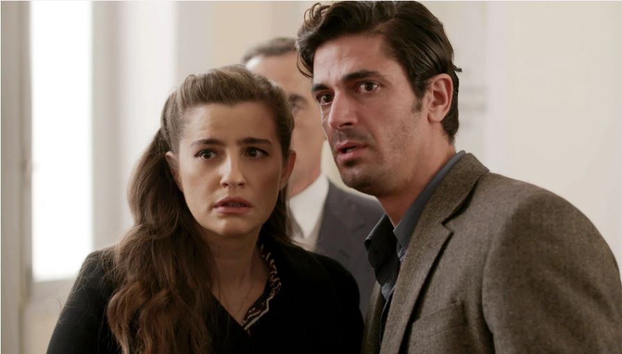 Γκοταόπουλο;ς-Άγριες Μέλισσες