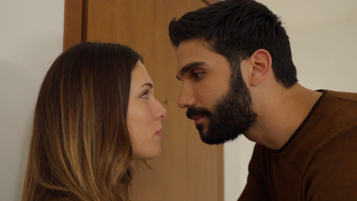 Η Γη της Ελιάς