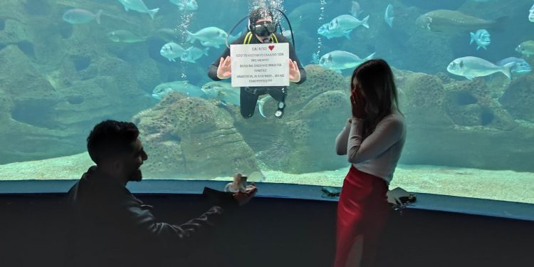 Κρήτη: Παίκτης του ΟΦΗ έκανε πρόταση γάμου με τη…βοήθεια δύτη – ΦΩΤΟ