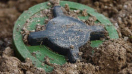 Νάρκη-Ουκρανία