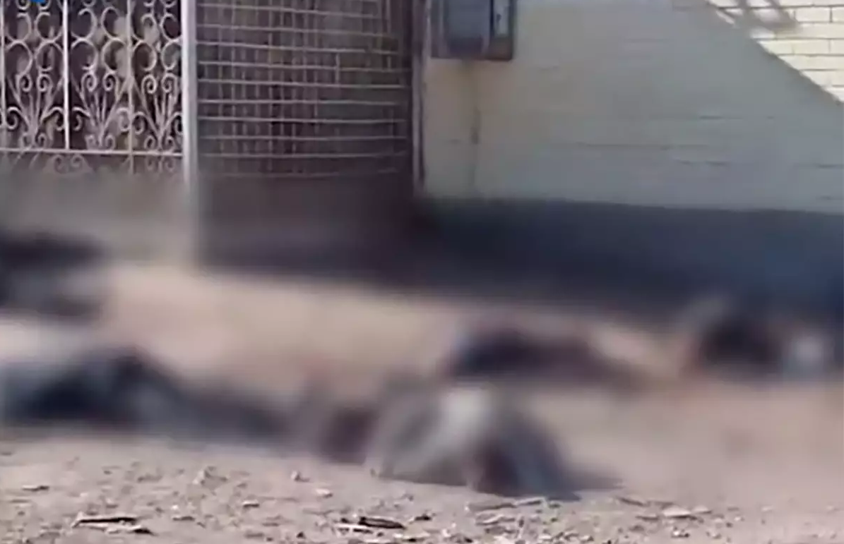 Πόλεμος στην Ουκρανία: Εκτέλεσαν πολίτες που περίμεναν για ψωμί – Σοκαριστικό ΒΙΝΤΕΟ