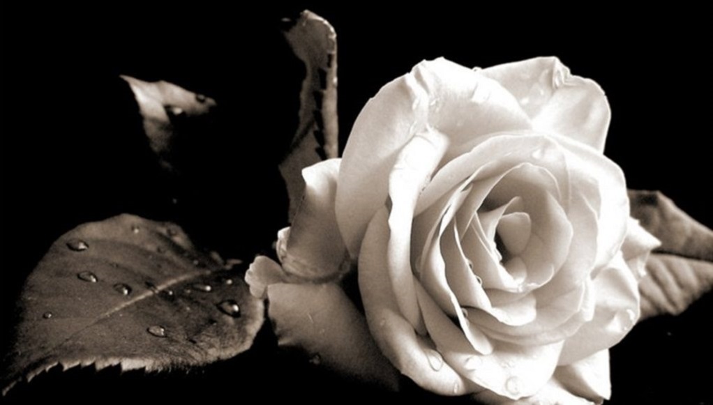 Πενθεί ο Βόλος: Πέθανε 49 ημέρες μετά τον θάνατο της δίδυμης αδελφής της