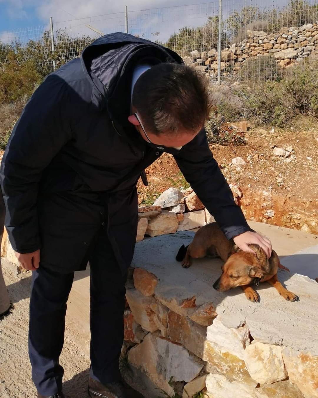 Στέλιος Πέτσας Αδέσποτα