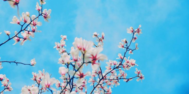 άνοιξη- ισημερία