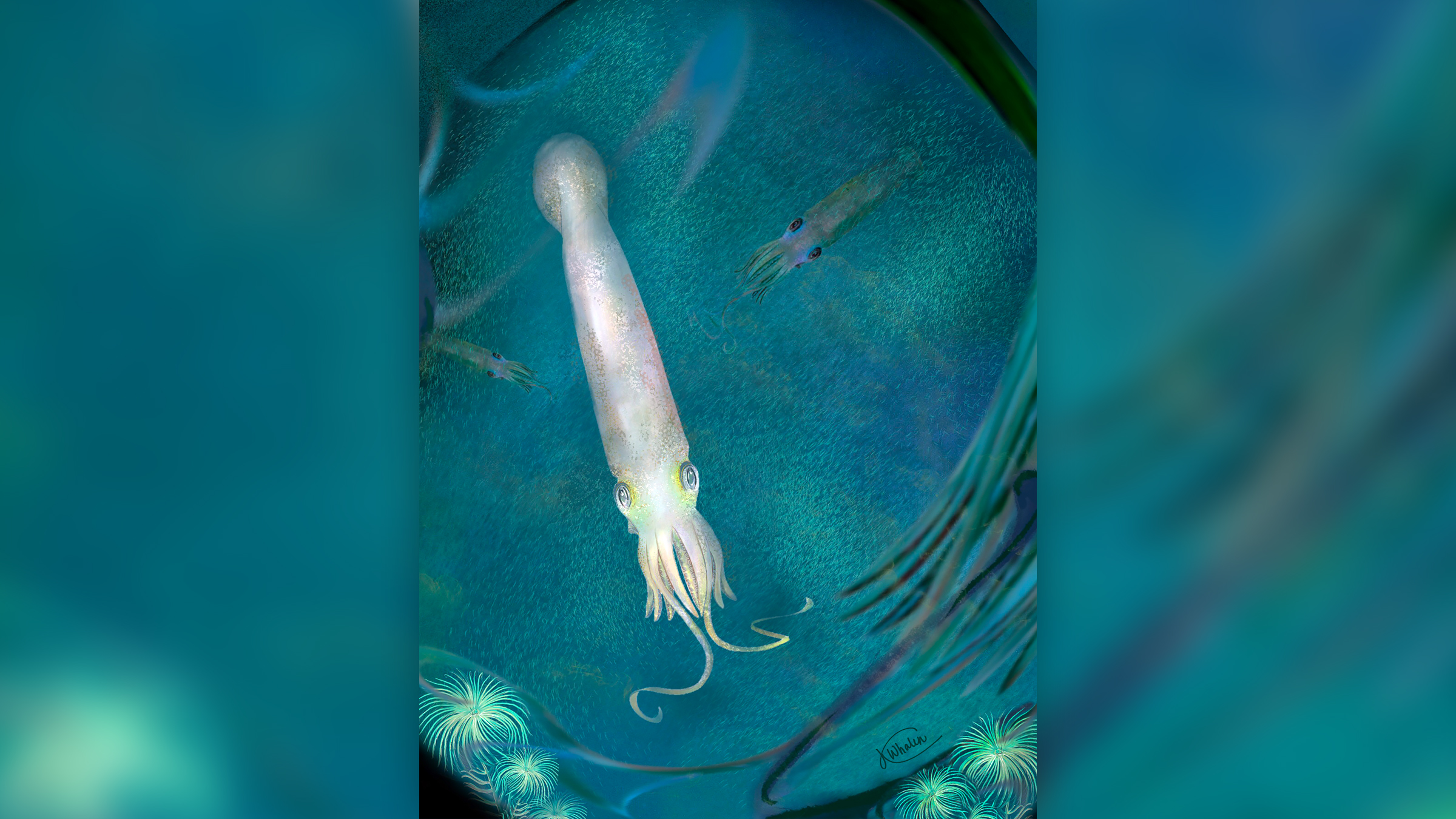 Το χταπόδι με τα δέκα πλοκάμια που ονομάστηκε… Μπάιντεν