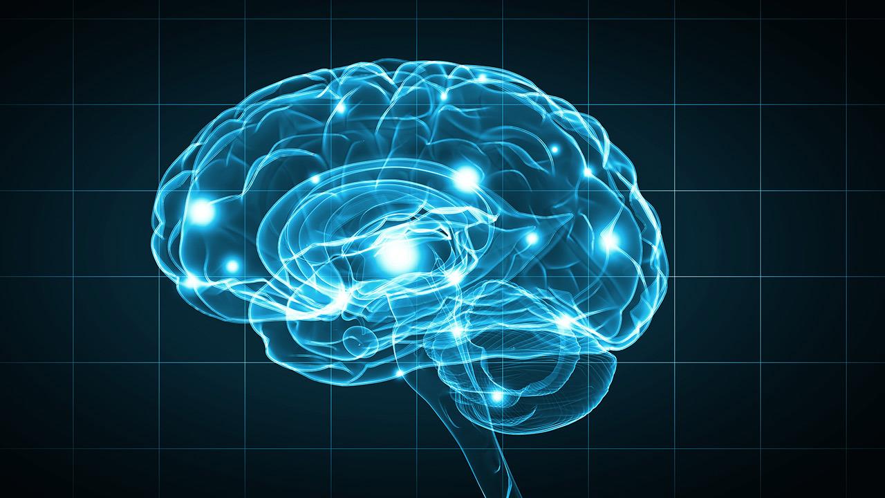 Υγεία: Ο “χάρτης” που δείχνει πώς μεγαλώνει ο ανθρώπινος εγκέφαλος