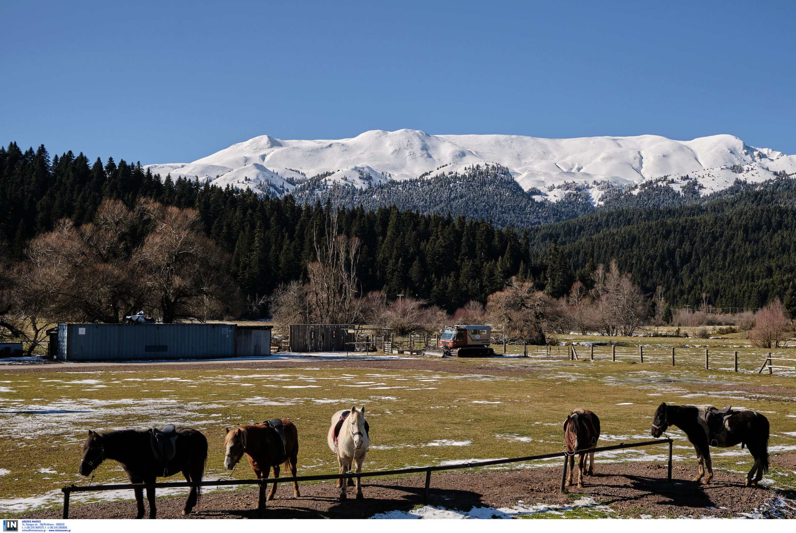 Πάτρα: Διασωληνωμένος 16χρονος έπειτα από τροχαίο με άλογο