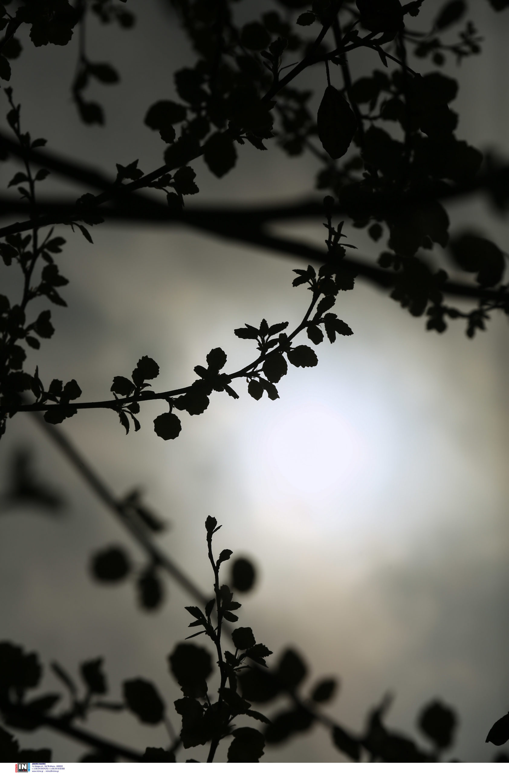 Καιρός: Συνεχίζεται η καλοκαιρία – Σε υψηλά επίπεδα οι θερμοκρασίες